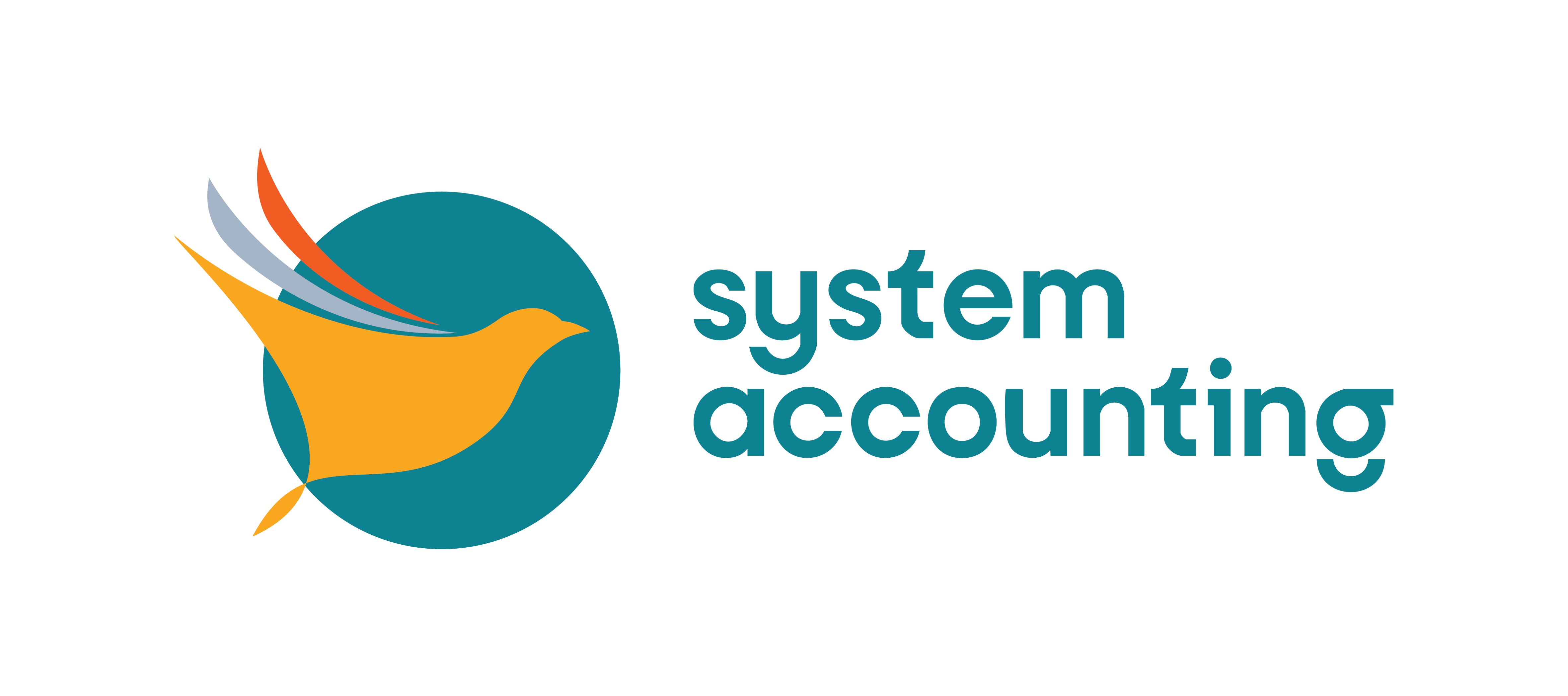 Systems Accounting Logo